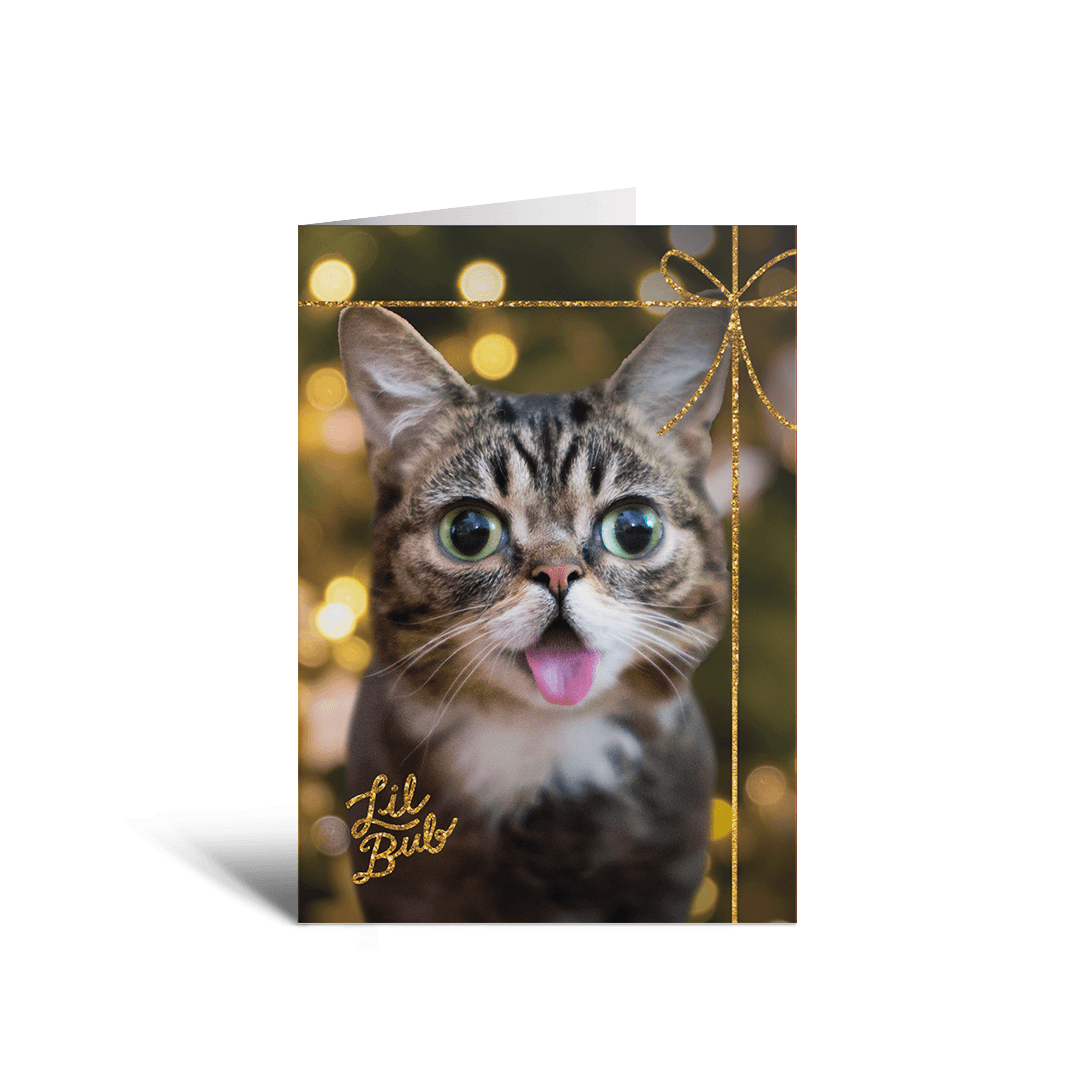 2023 BUB + Marbles Holiday Card Collection (Set of 5)