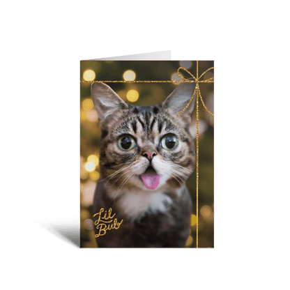 2023 BUB + Marbles Holiday Card Collection (Set of 5)