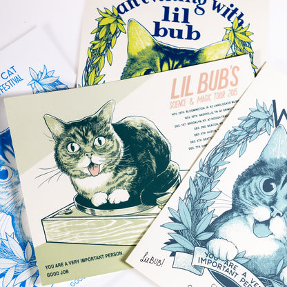 The Magical BUB Book Bundle - STANDARD