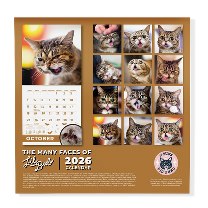 2026 Lil BUB Calendar