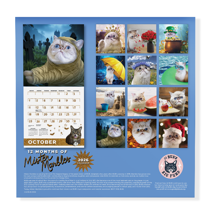 2026 Mr Marbles Calendar