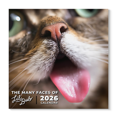 2026 Lil BUB Calendar