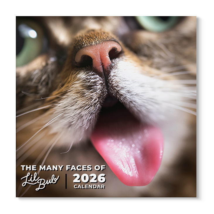 2026 BUB + Marbles Calendar Bundle