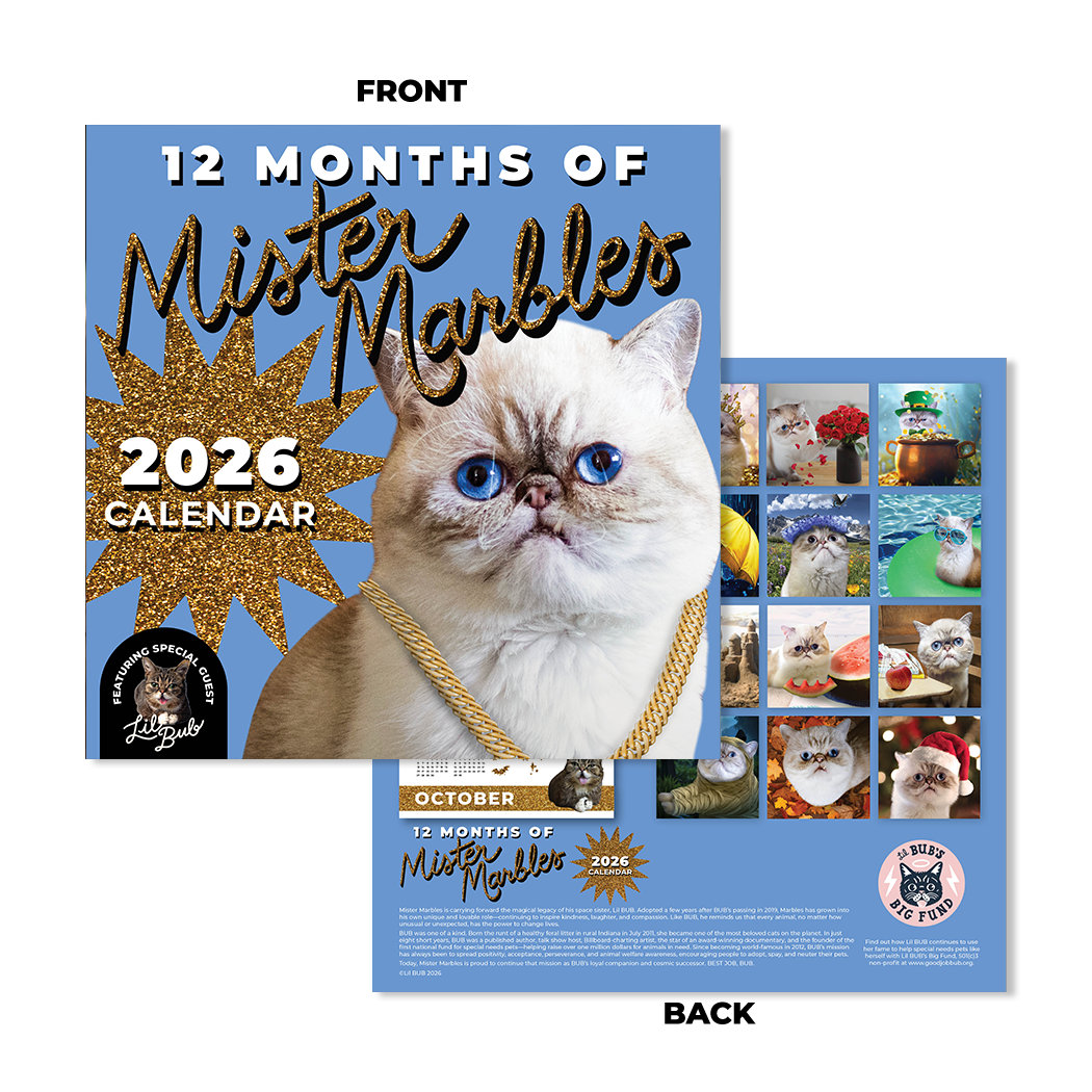 2026 Mr Marbles Calendar