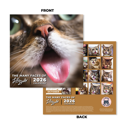 2026 BUB + Marbles Calendar Bundle