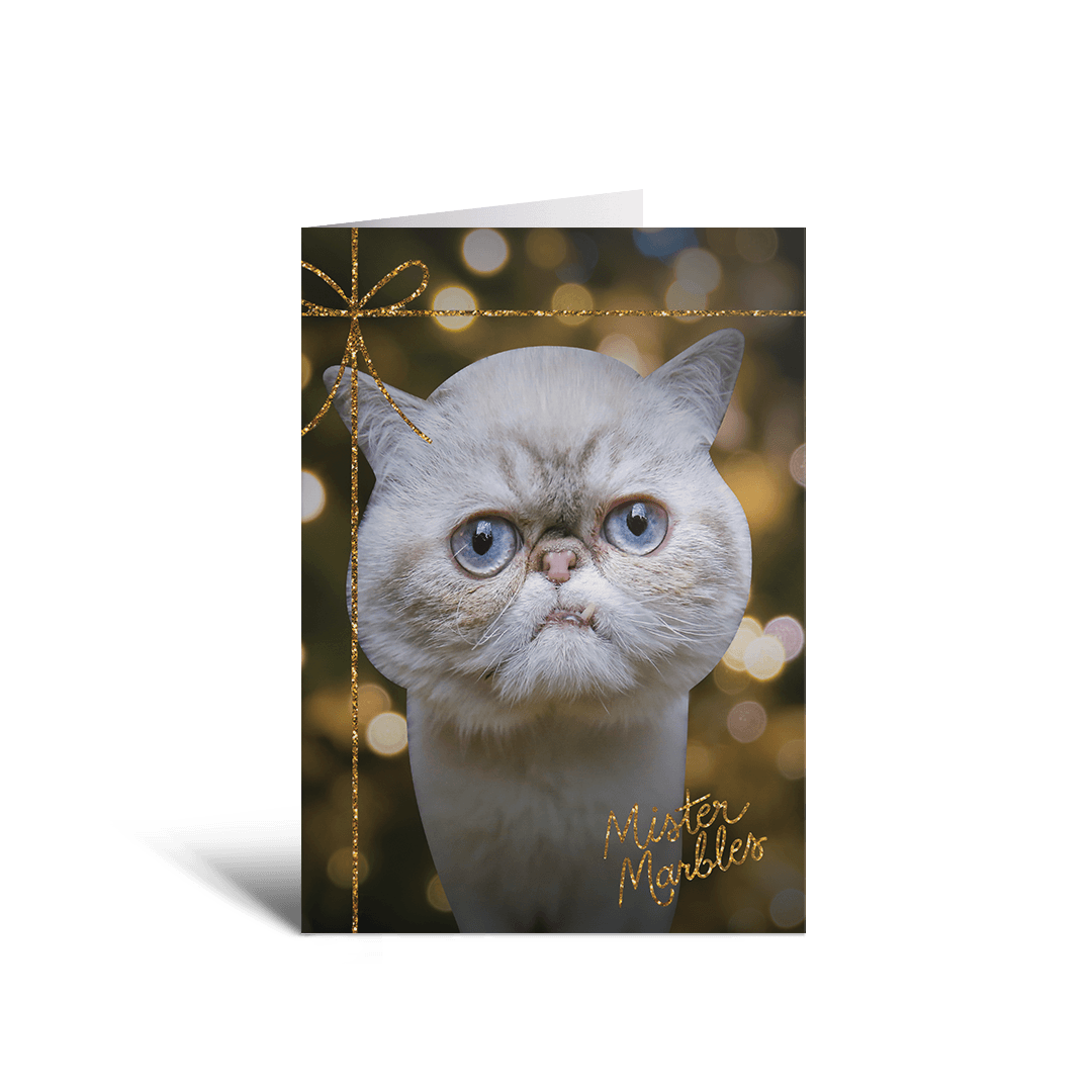 2023 BUB + Marbles Holiday Card Collection (Set of 5)