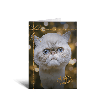 2023 BUB + Marbles Holiday Card Collection (Set of 5)