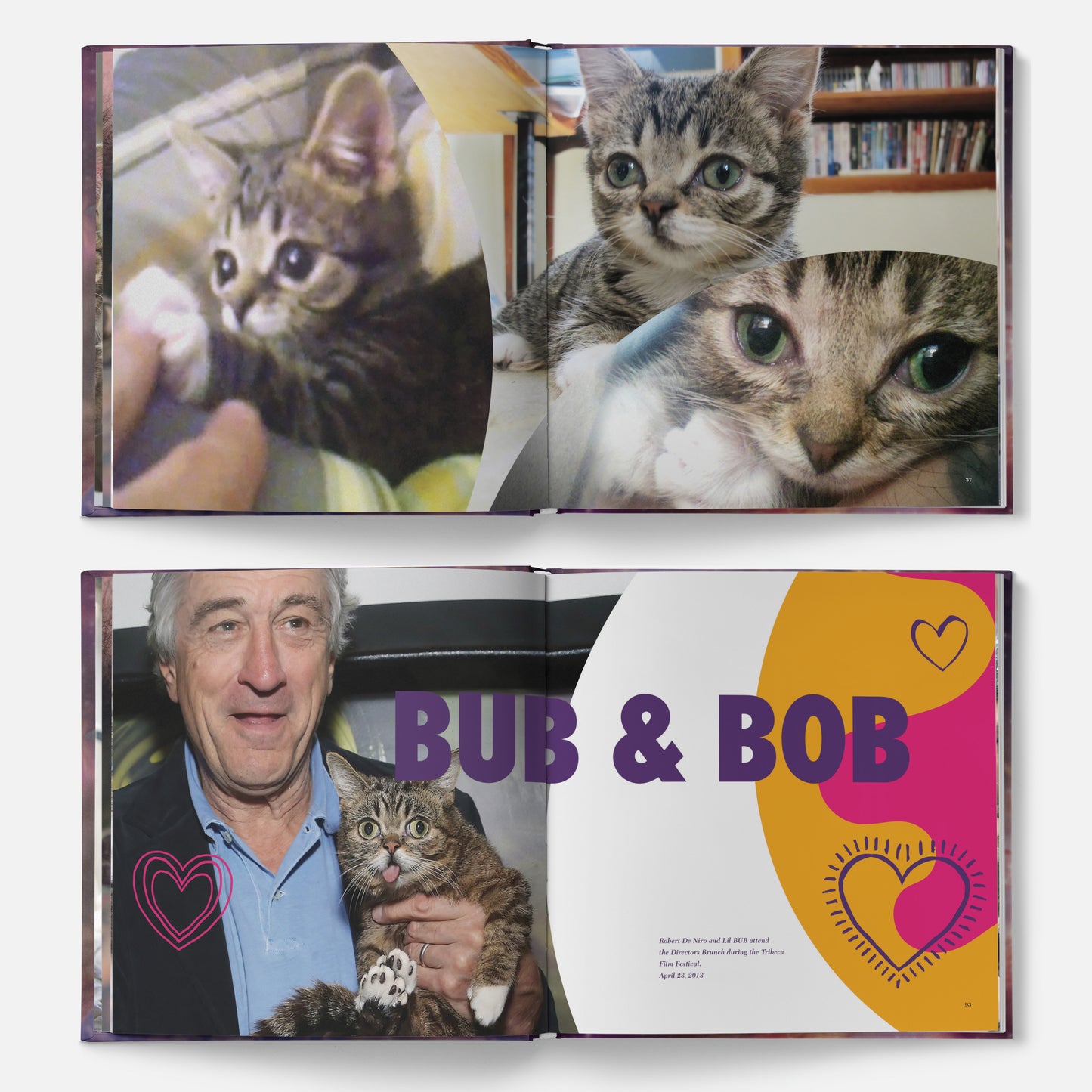 The Magical BUB Book Bundle - STANDARD