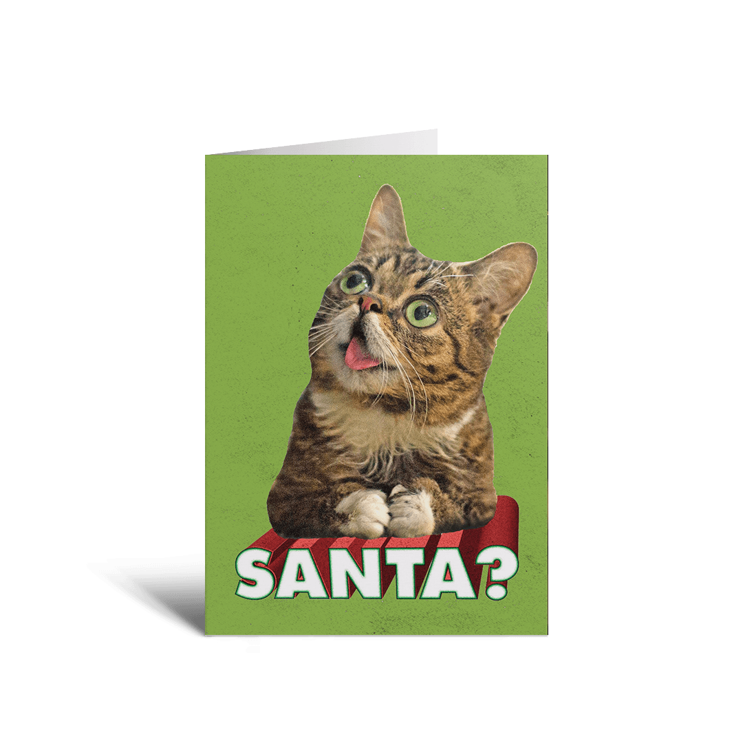 2023 BUB + Marbles Holiday Card Collection (Set of 5)