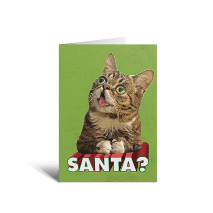 2023 BUB + Marbles Holiday Card Collection (Set of 5)