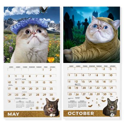 2026 Mr Marbles Calendar