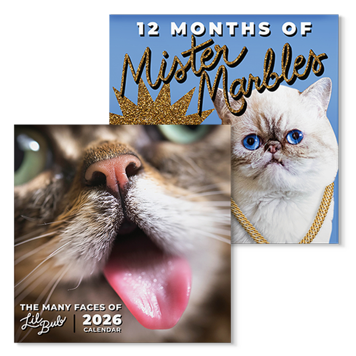 2026 BUB + Marbles Calendar Bundle
