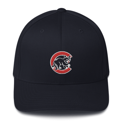 Chicago BUBs - Structured Hat