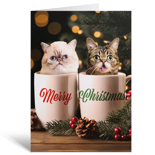 A BUB and Marbles Christmas (Card)