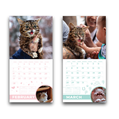 2027 Lil BUB Calendar - Preorder