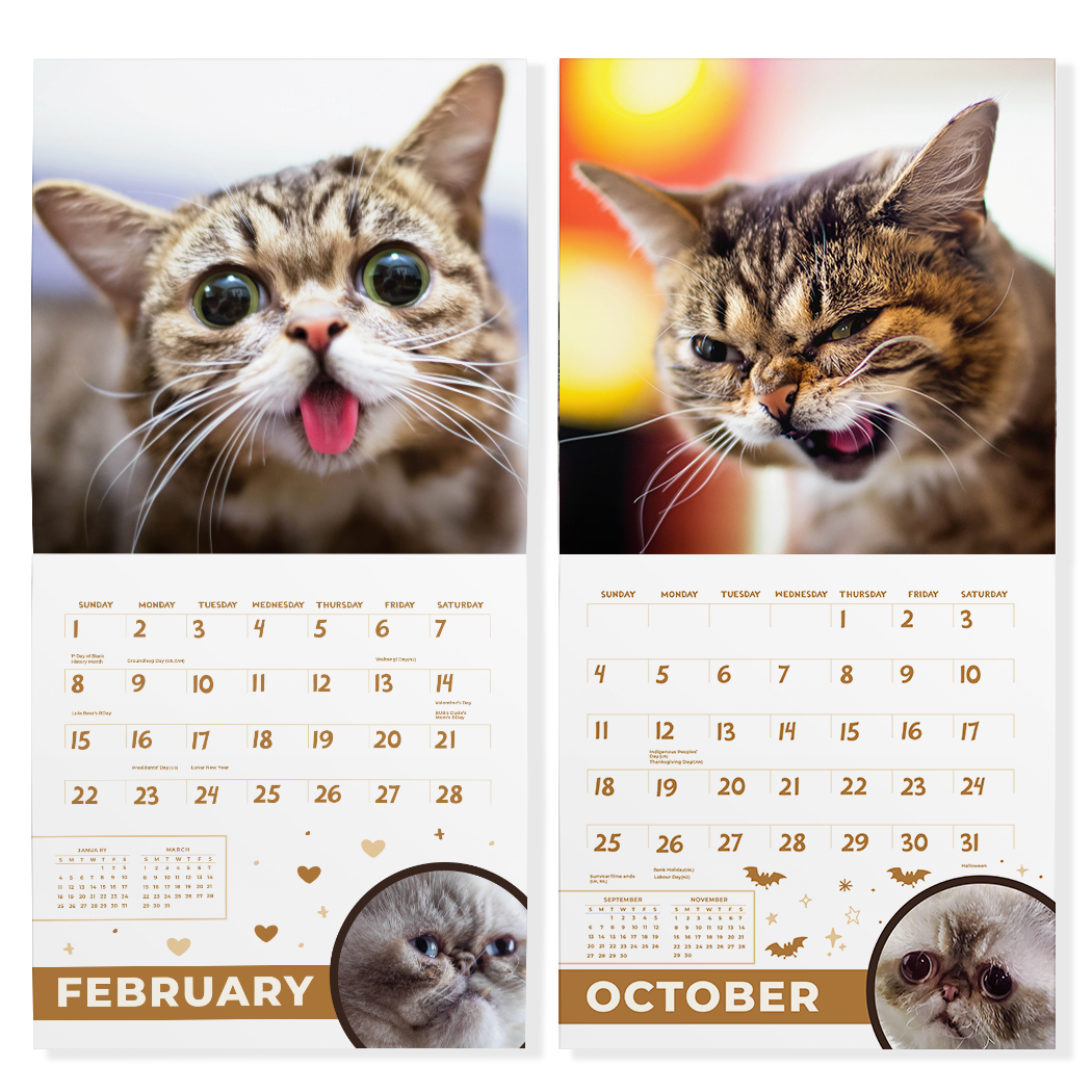 2026 Lil BUB Calendar