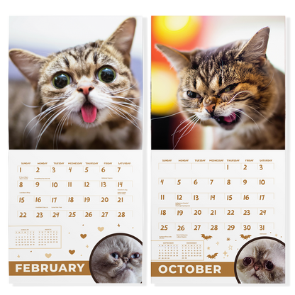 2026 Lil BUB Calendar