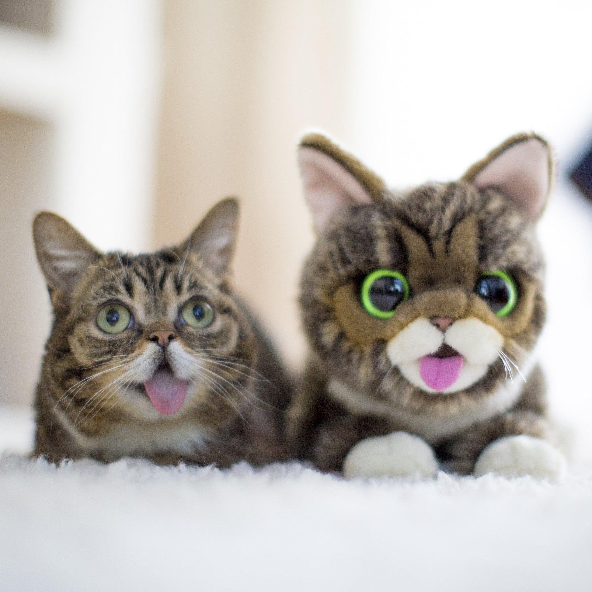 Lil BUB Plush Toy